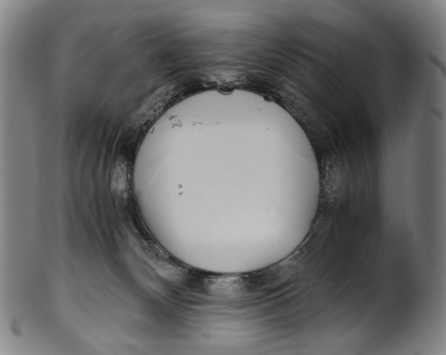 X0000100850132200807111225