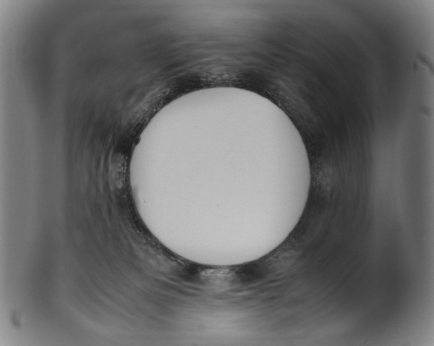 X0000100850133200807111225