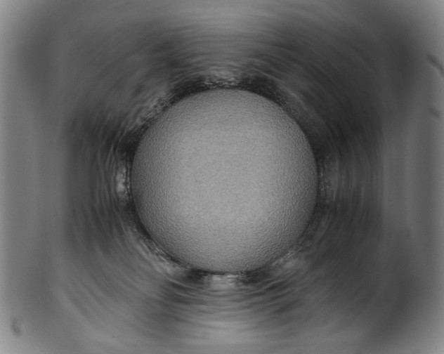 X0000100850134200807111225