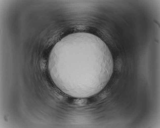 X0000100850135200807111225