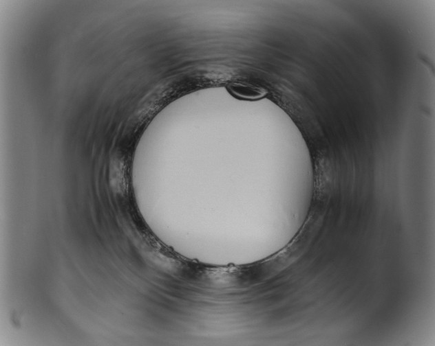 X0000100850136200807111225