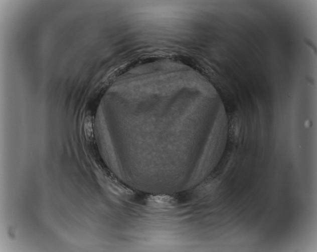 X0000100850137200807111225