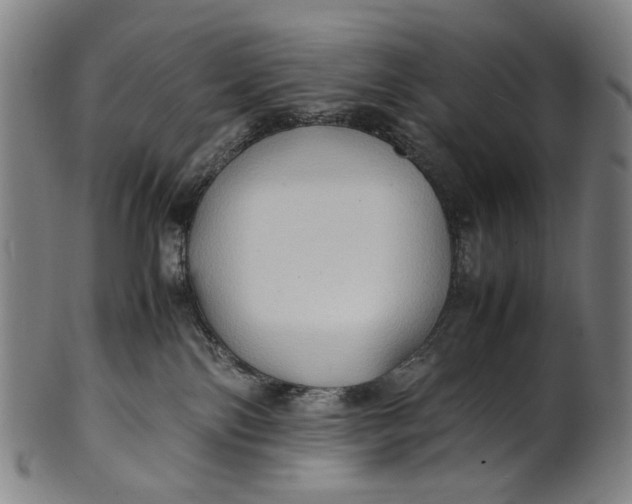 X0000100850138200807111225