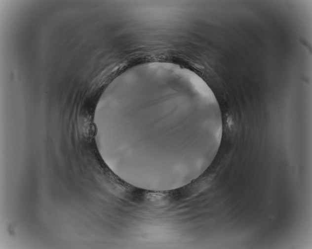 X0000100850139200807111225