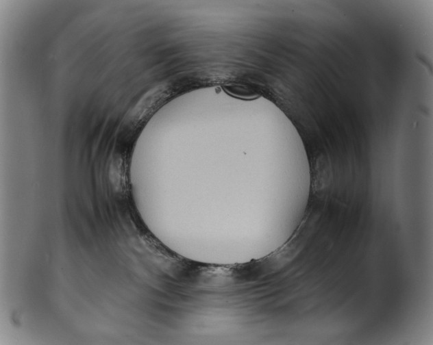 X0000100850140200807111225