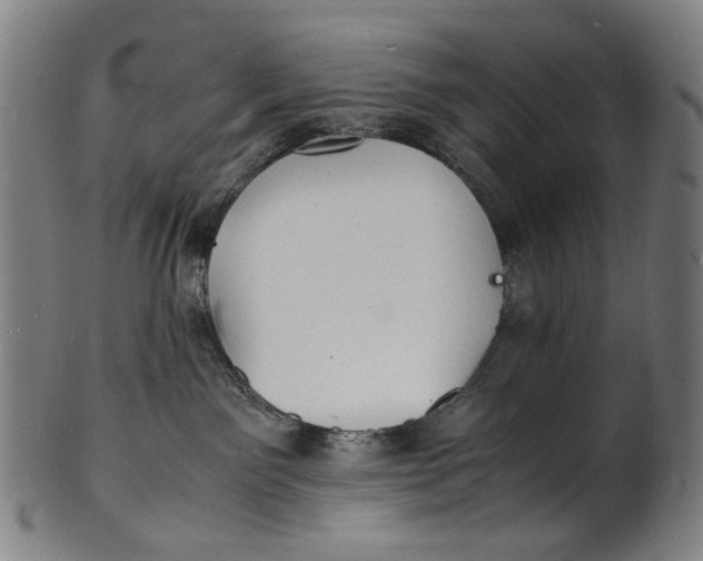 X0000100850141200807111225