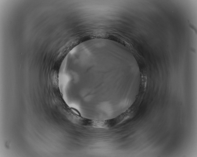 X0000100850143200807111225