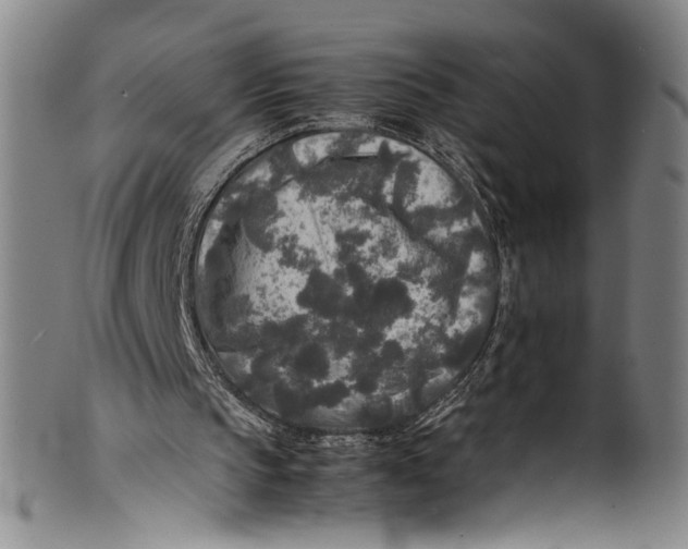 X0000100850145200807111224