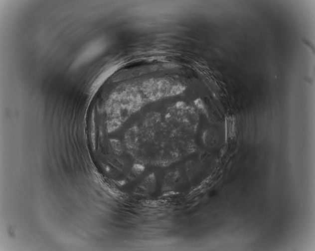 X0000100850147200807111224