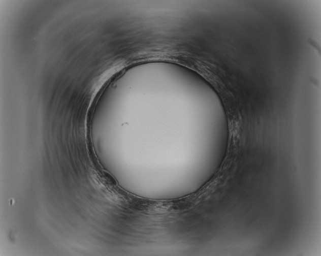 X0000100850148200807111224