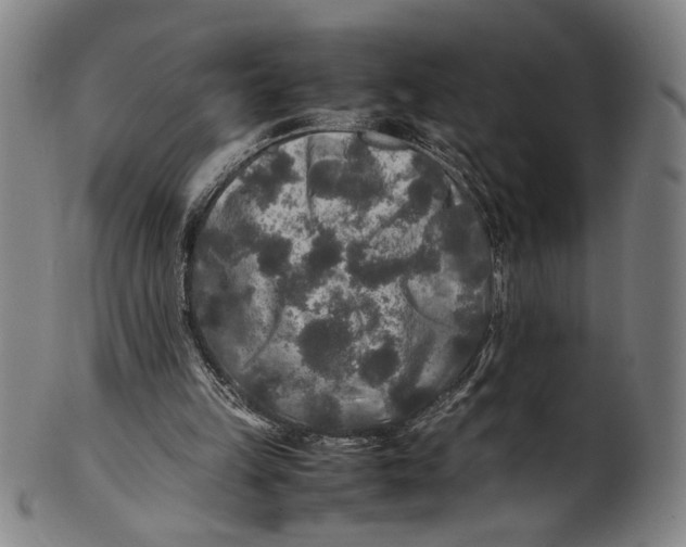 X0000100850149200807111224