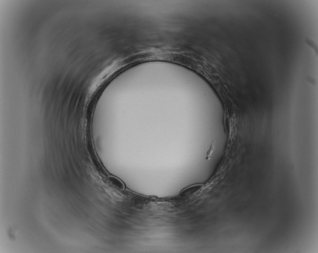 X0000100850150200807111224