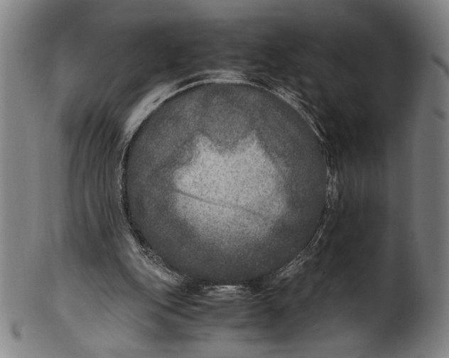 X0000100850151200807111224