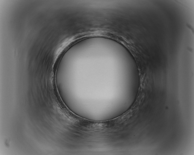 X0000100850152200807111224