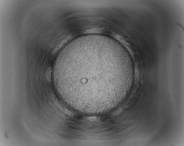 X0000100850153200807111224