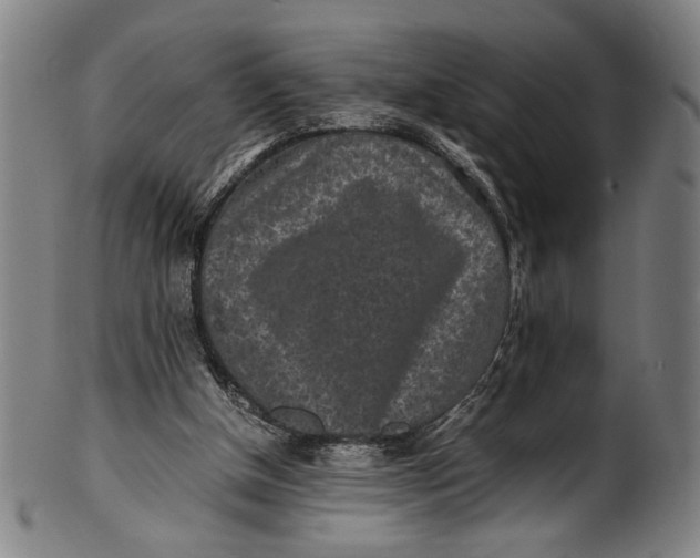 X0000100850154200807111224