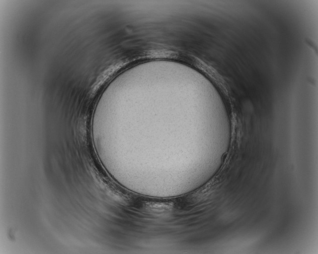 X0000100850155200807111224