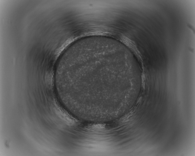 X0000100850156200807111224