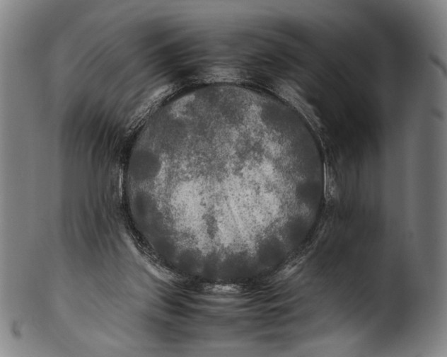 X0000100850157200807111224