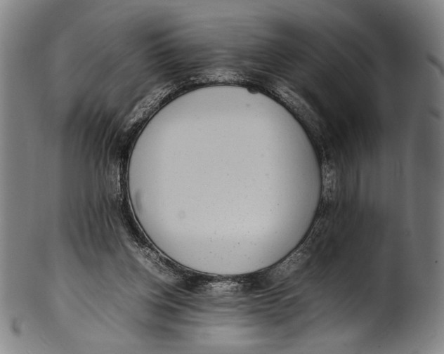 X0000100850158200807111224