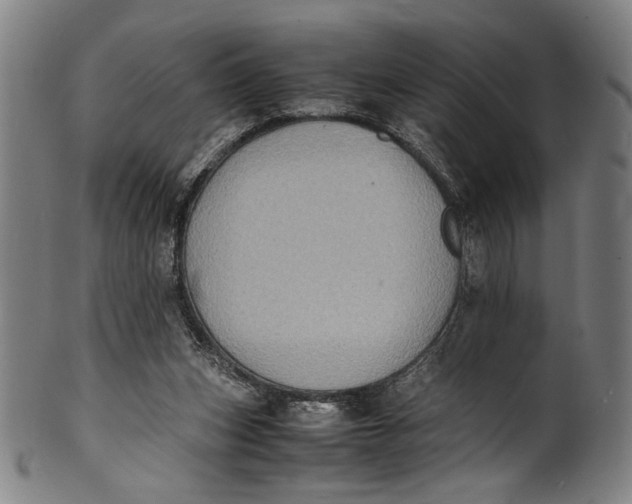 X0000100850159200807111224