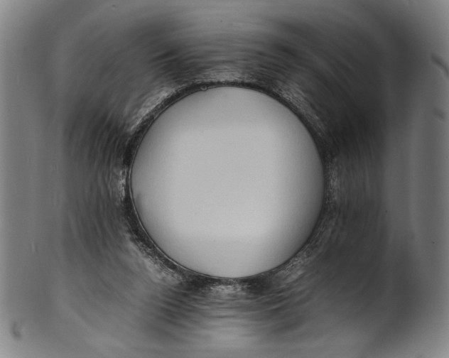 X0000100850160200807111224