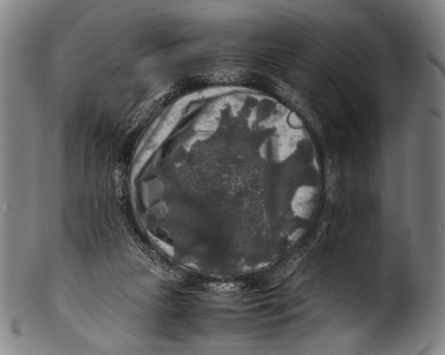 X0000100850161200807111224