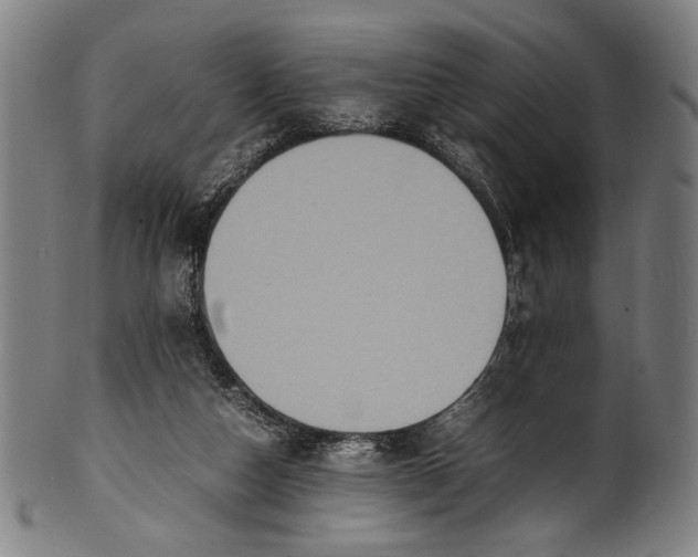 X0000100850162200807111224