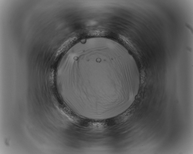 X0000100850163200807111224