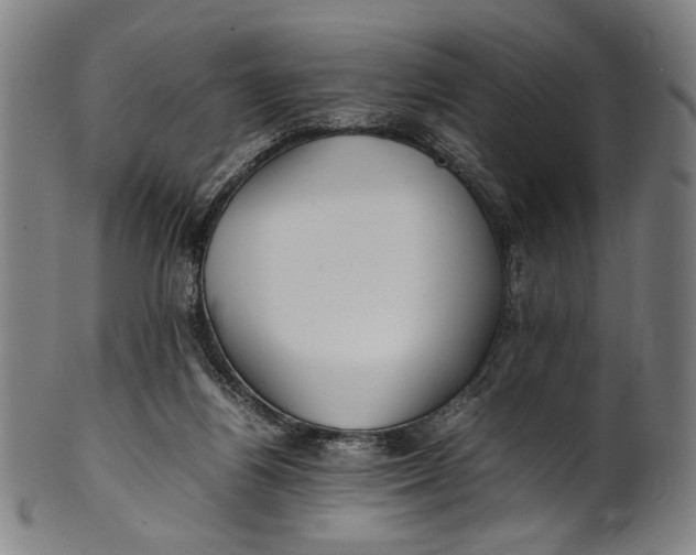 X0000100850164200807111224