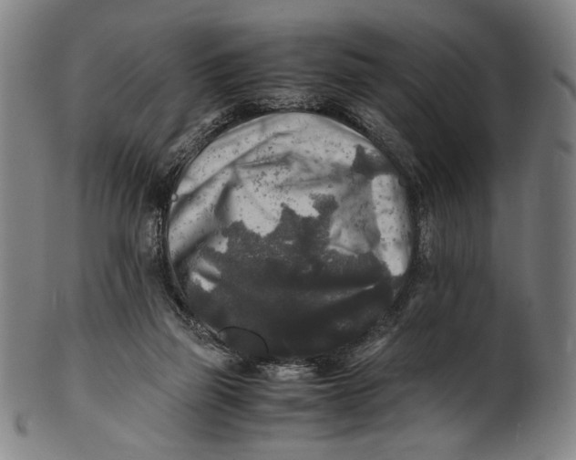 X0000100850165200807111224