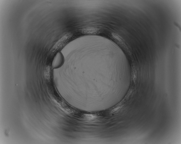 X0000100850167200807111224