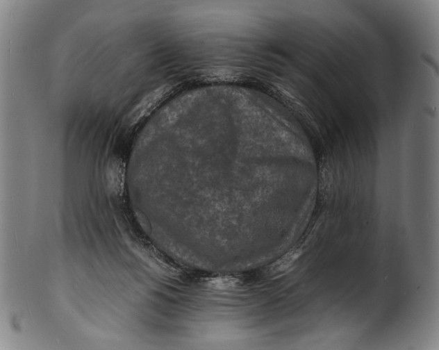 X0000100850168200807111224