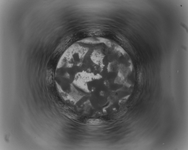 X0000100850169200807111224