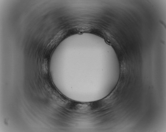 X0000100850170200807111224