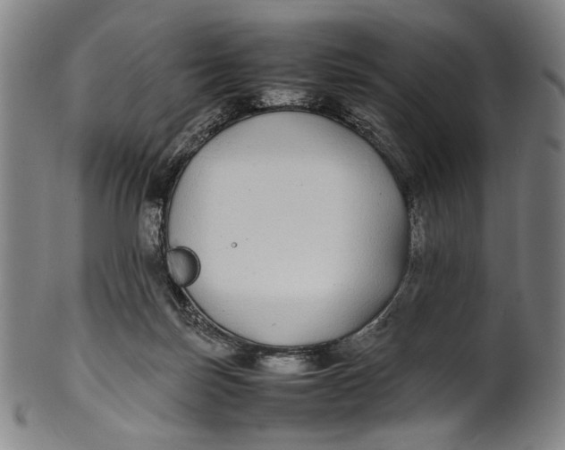 X0000100850171200807111224