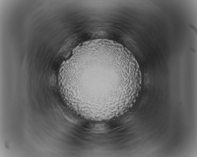 X0000100850173200807111224