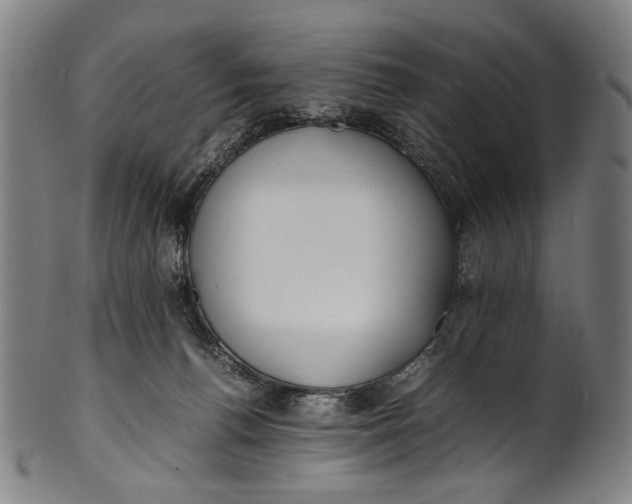 X0000100850176200807111224