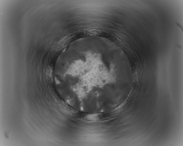 X0000100850178200807111224