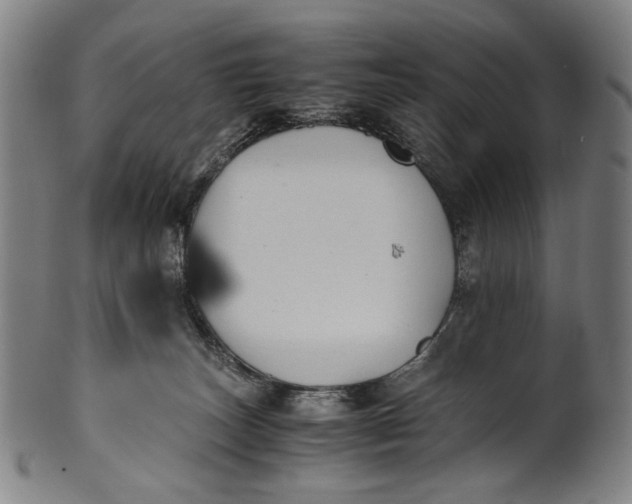 X0000100850179200807111224