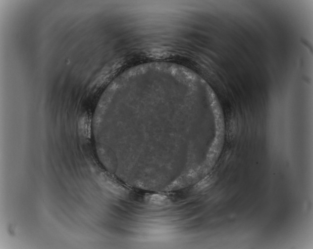 X0000100850180200807111224