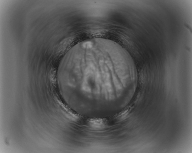 X0000100850181200807111224