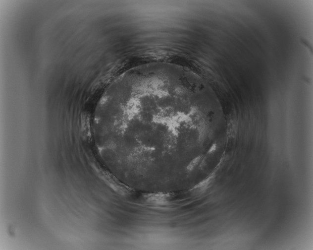 X0000100850182200807111224