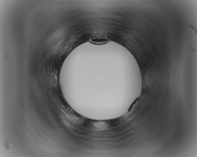 X0000100850183200807111224