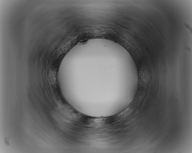 X0000100850184200807111224