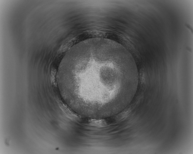 X0000100850185200807111225