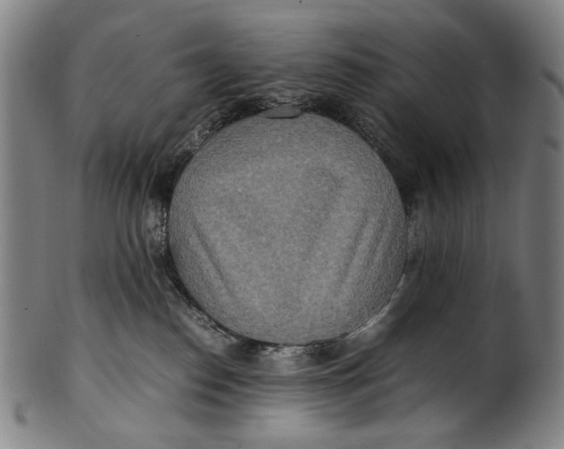 X0000100850186200807111225