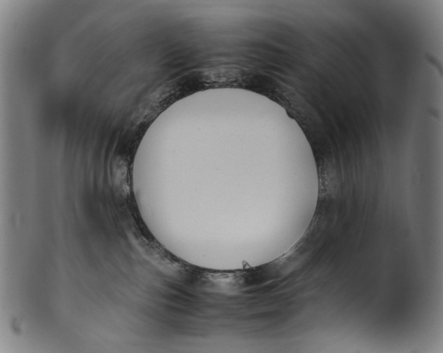 X0000100850187200807111225