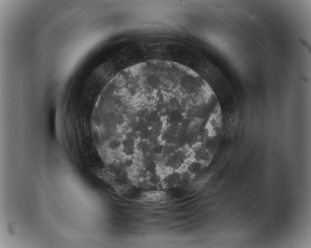 X0000100850189200807111225