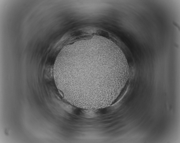 X0000100850191200807111225